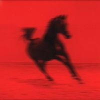 Red Rum Club - Buck in the group VINYL / Upcoming releases / Pop-Rock at Bengans Skivbutik AB (5641052)