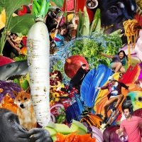 Jetski - The Radiant Radish in the group CD / Upcoming releases / Pop-Rock at Bengans Skivbutik AB (5641543)