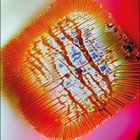 Mac Declos - Nothing Stands Still in the group OUR PICKS / Friday Releases / 2025-10-03 at Bengans Skivbutik AB (5641579)