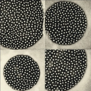 Leimer K. - Resting Forms in the group OUR PICKS / Friday Releases / 2025-09-19 at Bengans Skivbutik AB (5642287)