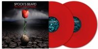 Spocks Beard - Archaeoptimist The (2 Lp Red Vinyl) in the group VINYL / Upcoming releases / Pop-Rock at Bengans Skivbutik AB (5642317)
