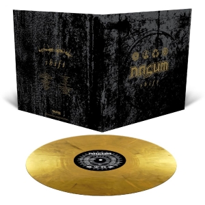 Nasum - Shift (Metallic Gold Marbled Vinyl LP) in the group OUR PICKS / Friday Releases / 2025-10-24 at Bengans Skivbutik AB (5642359)