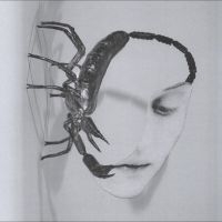 Tortoise - Touch in the group CD / Upcoming releases / Pop-Rock at Bengans Skivbutik AB (5642365)