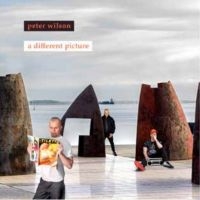 Peter Wilson - A Different Picture in the group CD / New releases / Pop-Rock at Bengans Skivbutik AB (5642418)