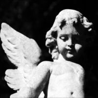 Cold Cave - Passion Depression in the group OUR PICKS / Frontpage - Vinyl New & Forthcoming at Bengans Skivbutik AB (5642548)
