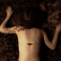 Svart Ridå - Aponia in the group VINYL / Upcoming releases / Pop-Rock at Bengans Skivbutik AB (5642645)