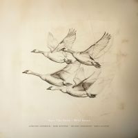 Josefine Cronholm Kirk Knuffke Mfl - Near The Pond: Wild Geese (180G.) in the group OUR PICKS / Frontpage - Vinyl New & Forthcoming at Bengans Skivbutik AB (5643010)