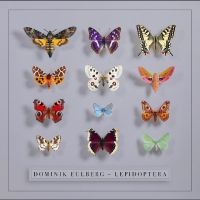Eulberg Dominik - Lepidoptera in the group CD / Upcoming releases / Pop-Rock at Bengans Skivbutik AB (5643085)