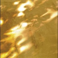 Svaneborg Kardyb - Haven in the group VINYL / Upcoming releases / Jazz at Bengans Skivbutik AB (5643105)