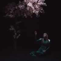 Daedric - As The Light Left in the group VINYL / Bestsellers at Bengans Skivbutik AB (5643434)