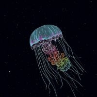 The Drowning World - Passive Margins in the group OUR PICKS / Frontpage - Vinyl New & Forthcoming at Bengans Skivbutik AB (5643494)