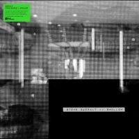 Steve Queralt - Swallow in the group VINYL / Upcoming releases / Pop-Rock at Bengans Skivbutik AB (5643517)