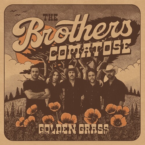 The Brothers Comatose - Golden Grass in the group VINYL / Bestsellers at Bengans Skivbutik AB (5643584)