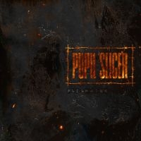 Pupil Slicer - Fleshwork in the group CD / Upcoming releases / Hårdrock at Bengans Skivbutik AB (5644275)