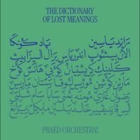 Praed Orchestra! - The Dictionary Of Lost Meanings in the group VINYL / Upcoming releases / Pop-Rock at Bengans Skivbutik AB (5644323)