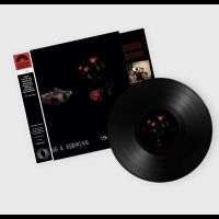 The Felt Tips - Living & Growing in the group VINYL / Upcoming releases / Pop-Rock at Bengans Skivbutik AB (5644324)
