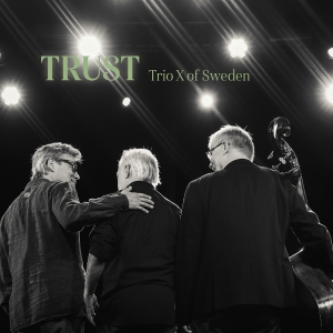 Trio X Of Sweden - Trust in the group OTHER / Kommande - alla format at Bengans Skivbutik AB (5644441)