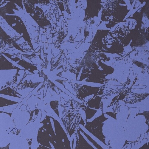 Plants Heal - Forest Dwellers in the group VINYL / Pop-Rock at Bengans Skivbutik AB (5644550)
