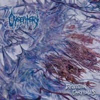 Dysentery - Dejection Chrysalis in the group CD / Upcoming releases / Hårdrock at Bengans Skivbutik AB (5645295)