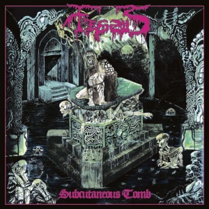 Fessus - Subcutaneous Tomb in the group OUR PICKS / Friday Releases / 2025-11-28 at Bengans Skivbutik AB (5645551)