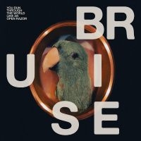 Bruise Blood - You Run Through The World Like An O in the group VINYL / Upcoming releases / Pop-Rock at Bengans Skivbutik AB (5645578)