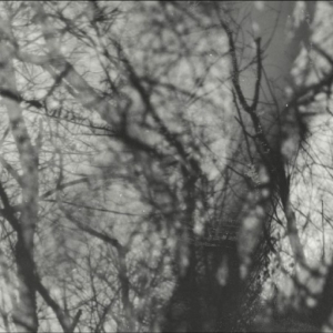 Grouper - Way Their Crept in the group VINYL / Upcoming releases / Pop-Rock at Bengans Skivbutik AB (5645864)