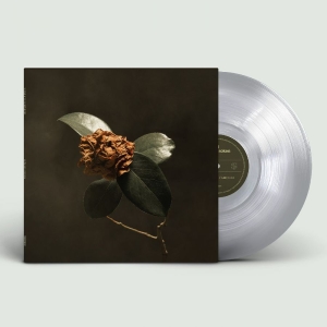 St. Paul & The Broken Bones - Young Sick Camellia in the group VINYL / Upcoming releases / Pop-Rock at Bengans Skivbutik AB (5646051)