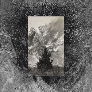 Superpoze - Siècle in the group OUR PICKS / Frontpage - CD New & Forthcoming at Bengans Skivbutik AB (5646389)