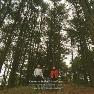 Constant Smiles - Moonflowers (Ltd Milky Clear Vinyl) in the group VINYL / Upcoming releases / Pop-Rock at Bengans Skivbutik AB (5646850)
