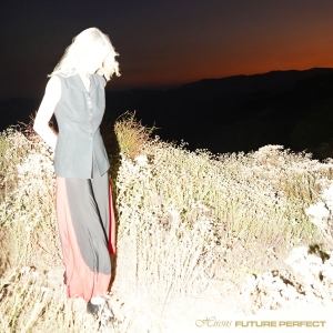 Hirons - Future Perfect in the group OUR PICKS / Friday Releases / 2025-11-07 at Bengans Skivbutik AB (5646871)