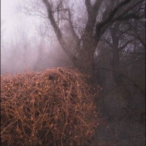 The Devil?S Trade - Nincs Szennyezetlen Szép in the group VINYL / Upcoming releases / World Music at Bengans Skivbutik AB (5646917)
