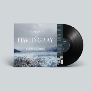 David Gray - Life In Slow Motion (20Th Anniversary Vinyl) in the group VINYL / Upcoming releases / Pop-Rock at Bengans Skivbutik AB (5647001)
