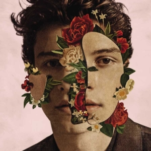 Shawn Mendes - Shawn Mendes in the group CD / Pop-Rock at Bengans Skivbutik AB (5647182)