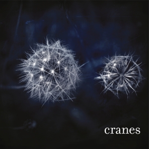 Cranes - Cranes in the group OUR PICKS / Friday Releases / 2025-12-05 at Bengans Skivbutik AB (5647211)