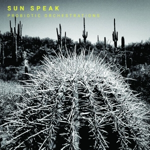 Sun Speak - Probiotic Orchestrations in the group VINYL / Upcoming releases / Jazz at Bengans Skivbutik AB (5647333)