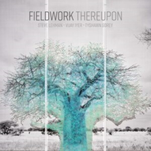 Fieldwork - Thereupon in the group OUR PICKS / Frontpage - CD New & Forthcoming at Bengans Skivbutik AB (5647424)