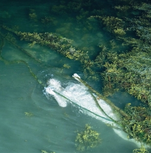 Pietu Arvola - Meidän Täytyy Valvoa Jottemme Nukku in the group OUR PICKS / Friday Releases / 2025-11-07 at Bengans Skivbutik AB (5647532)