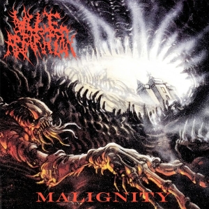Vile Apparition - Malignity in the group CD / Upcoming releases / Hårdrock at Bengans Skivbutik AB (5647827)