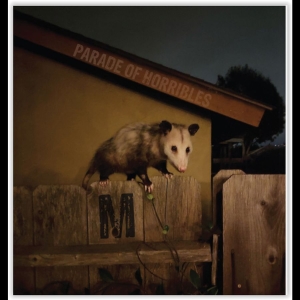 Parade Of Horribles - Nma in the group OUR PICKS / Frontpage - Vinyl New & Forthcoming at Bengans Skivbutik AB (5648568)