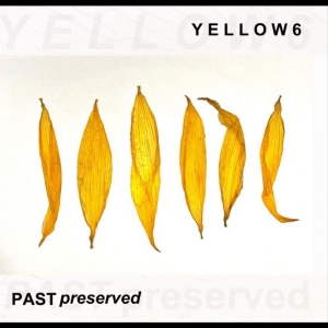 Yellow6 - Past Preserved in the group CD / Upcoming releases / Pop-Rock at Bengans Skivbutik AB (5648605)