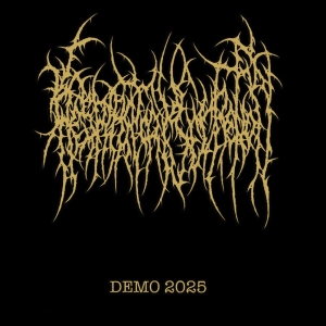 Respiratory Secretion - Demo 2025 in the group CD / Upcoming releases / Hårdrock at Bengans Skivbutik AB (5649321)