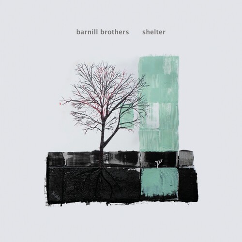 Barnill Brothers - Shelter in the group VINYL / Pop-Rock at Bengans Skivbutik AB (5649560)