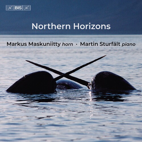 Markus Maskuniitty - Northern Horizons in the group MUSIK / SACD / Klassiskt at Bengans Skivbutik AB (5649639)