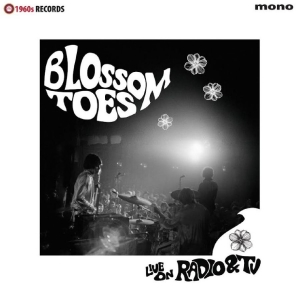 Blossom Toes - Live On Radio & Tv in the group VINYL / Upcoming releases / Pop-Rock at Bengans Skivbutik AB (5650047)