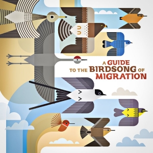 Various Artists - A Guide To The Birdsong Of Migratio in the group OUR PICKS / Friday Releases / 2026-01-09 at Bengans Skivbutik AB (5650073)