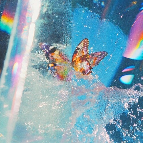 Daphni - Butterfly in the group OUR PICKS / Friday Releases / 2026-02-06 at Bengans Skivbutik AB (5650098)