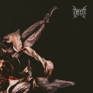 Bianca - Bianca (Digipack) in the group OUR PICKS / Friday Releases / 2026-01-09 at Bengans Skivbutik AB (5650327)