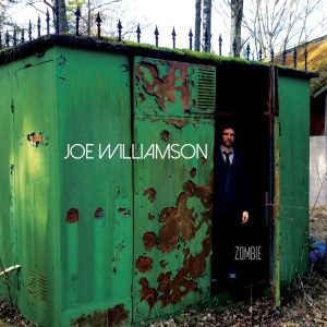 Joe Williamson - Zombie in the group VINYL / New releases / Pop-Rock at Bengans Skivbutik AB (5650660)