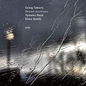 Craig Taborn - Dream Archives in the group OUR PICKS / Friday Releases / 2026-01-16 at Bengans Skivbutik AB (5651316)