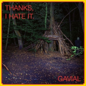 Gavial - Thansk, I Hate It (Vinyl Lp + Cd) in the group VINYL / Upcoming releases / Pop-Rock at Bengans Skivbutik AB (5651528)
